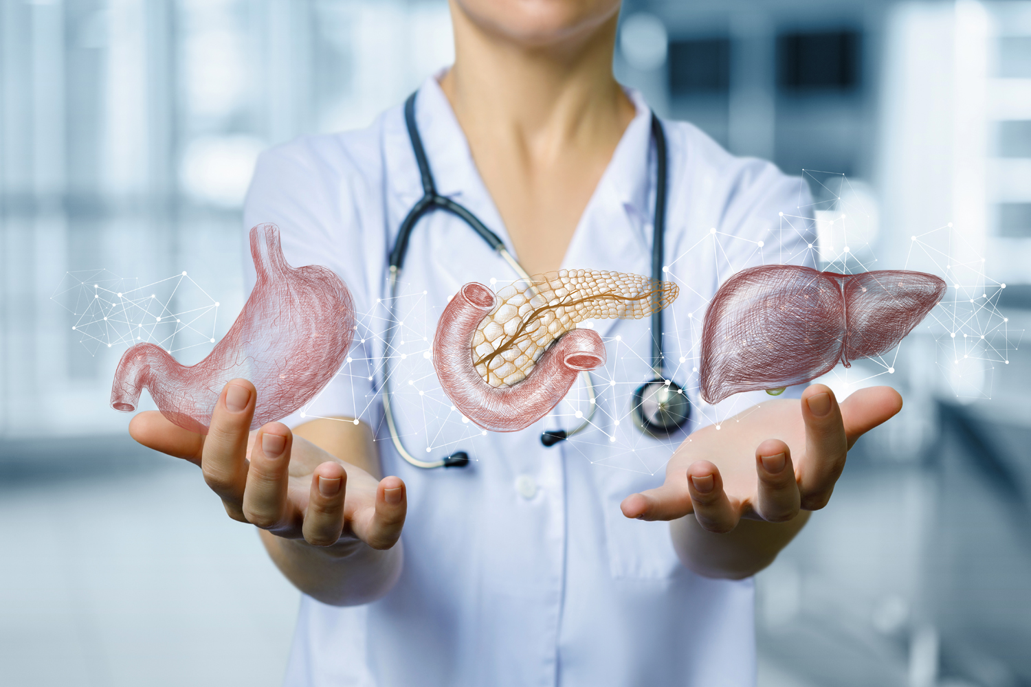 Ein gesunder Stoffwechsel braucht ausreichend Enzyme